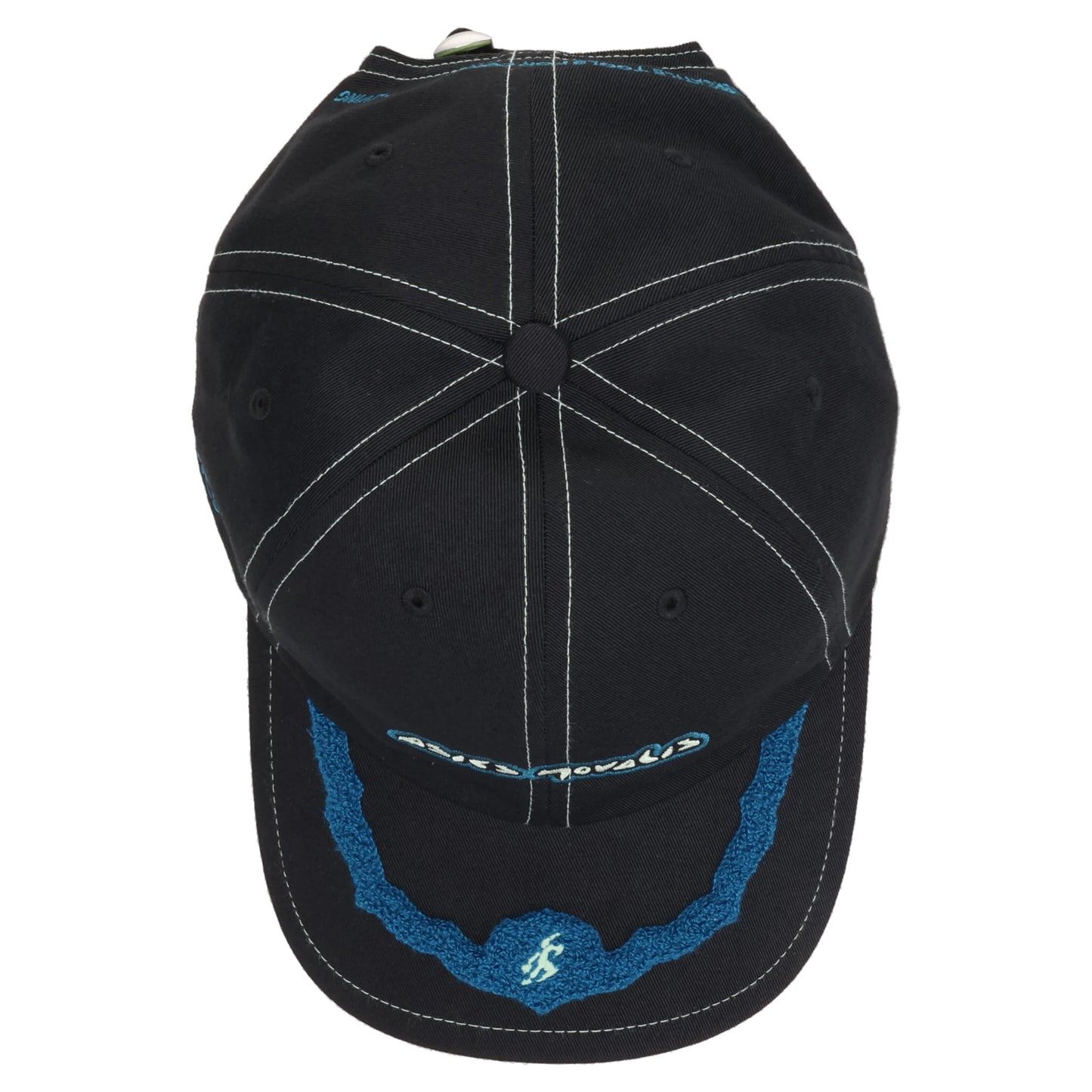 MIRBELIOIDS CAP / 001:BLACK