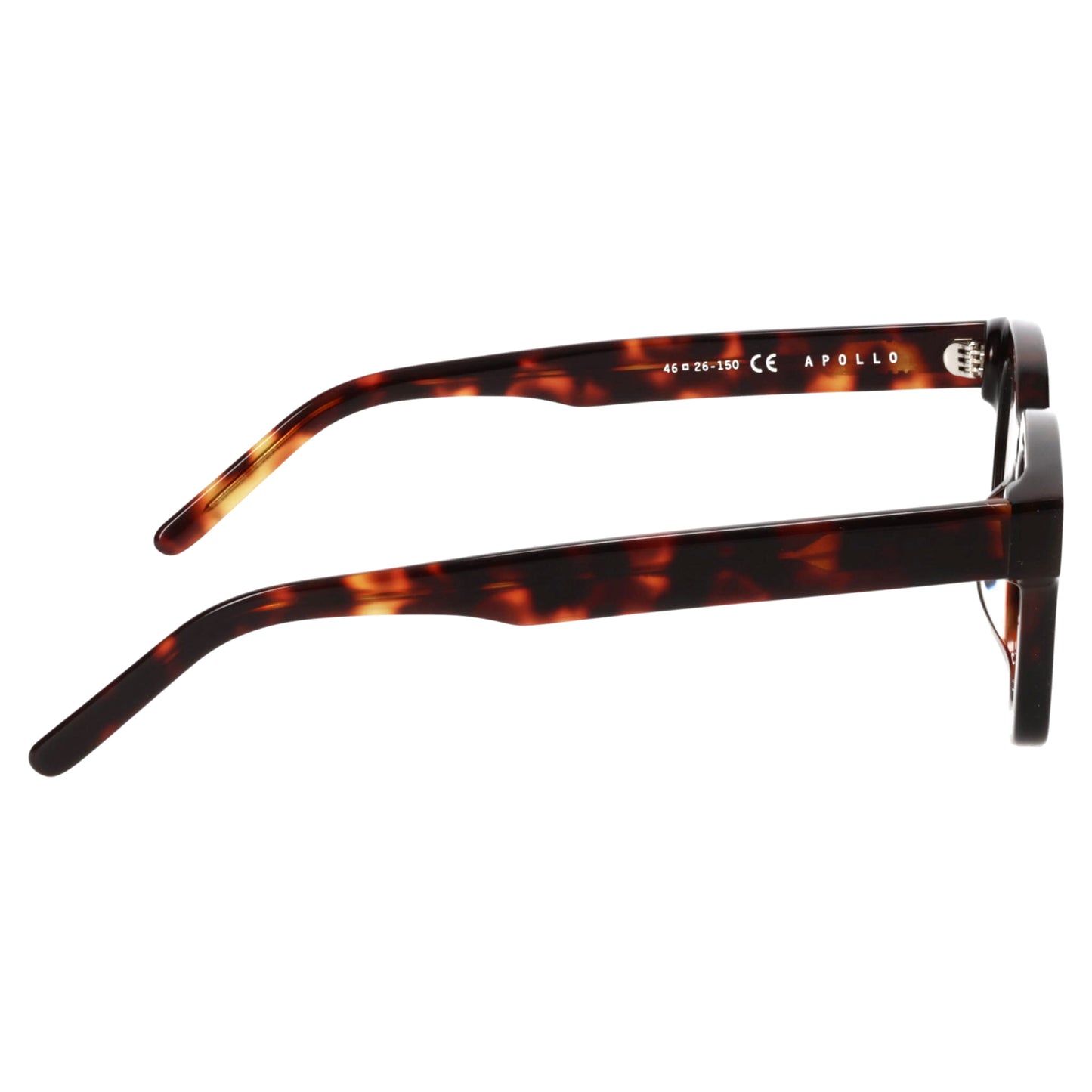 APOLLO / TORTOISE/BROWN