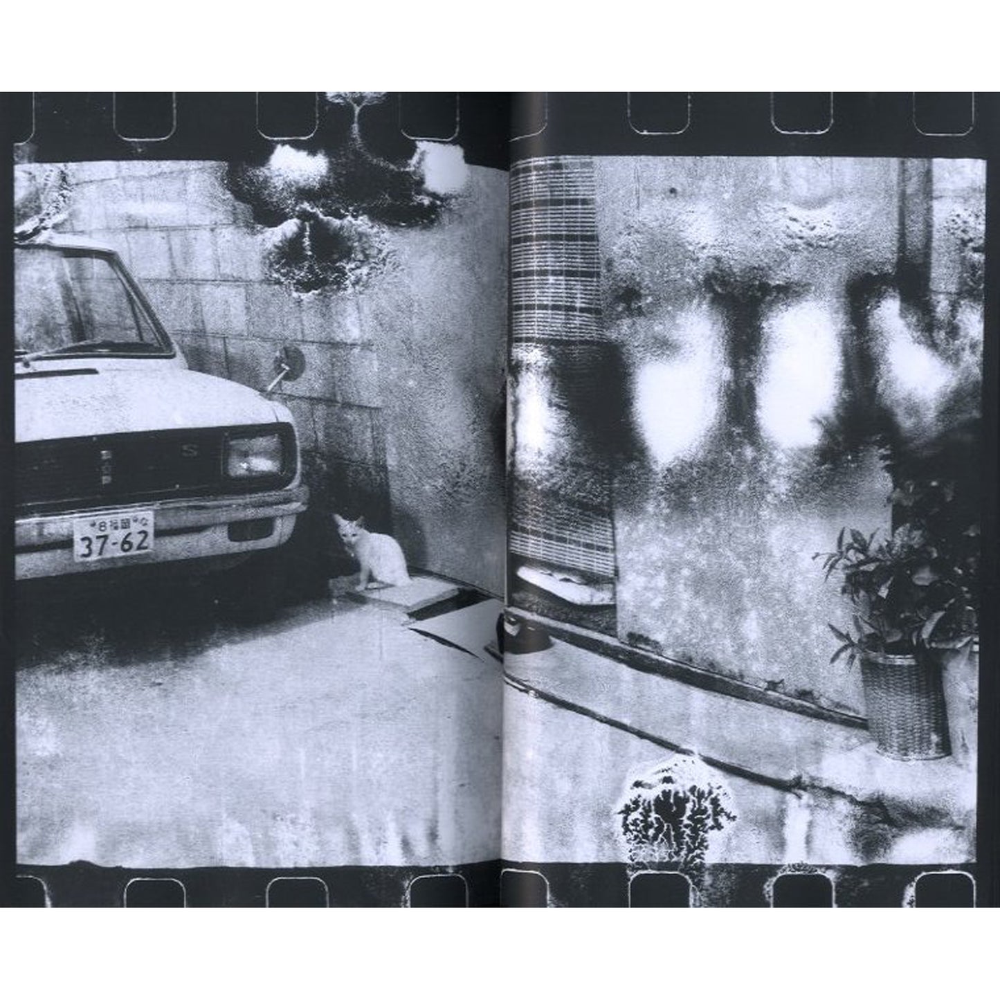 ユリイカ臨時増刊 総特集:荒木経惟