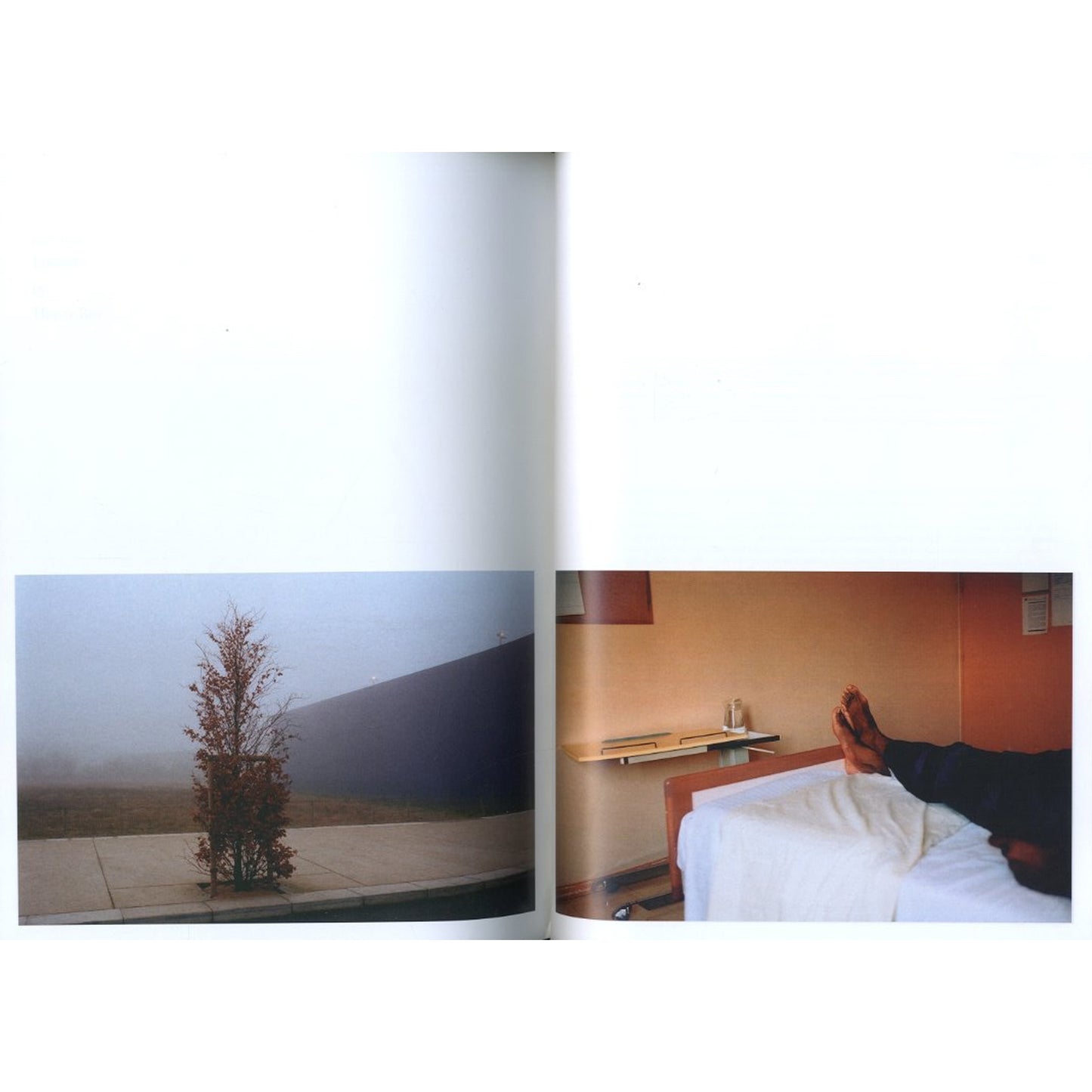 purple No.13 Fall 2002