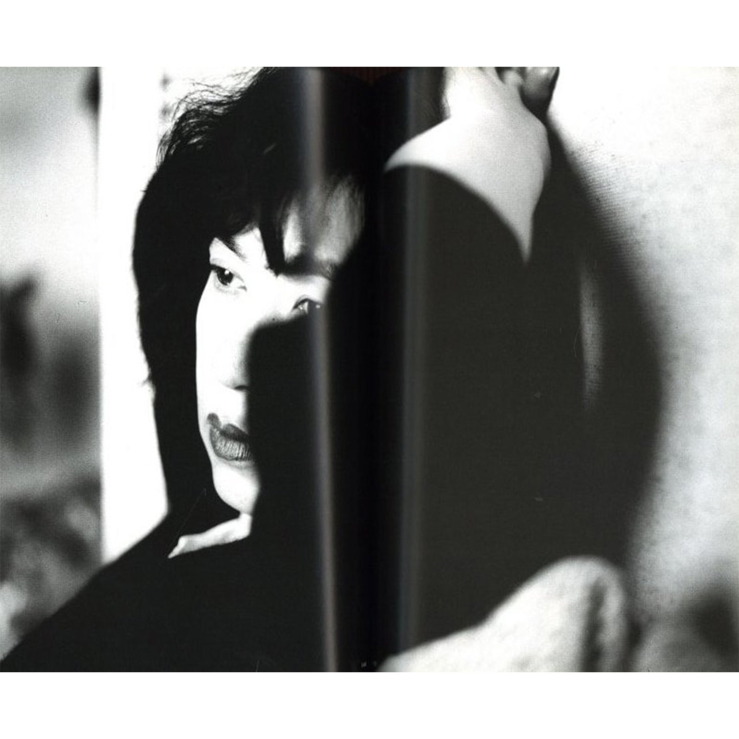 荒木経惟写真全集第3巻 陽子