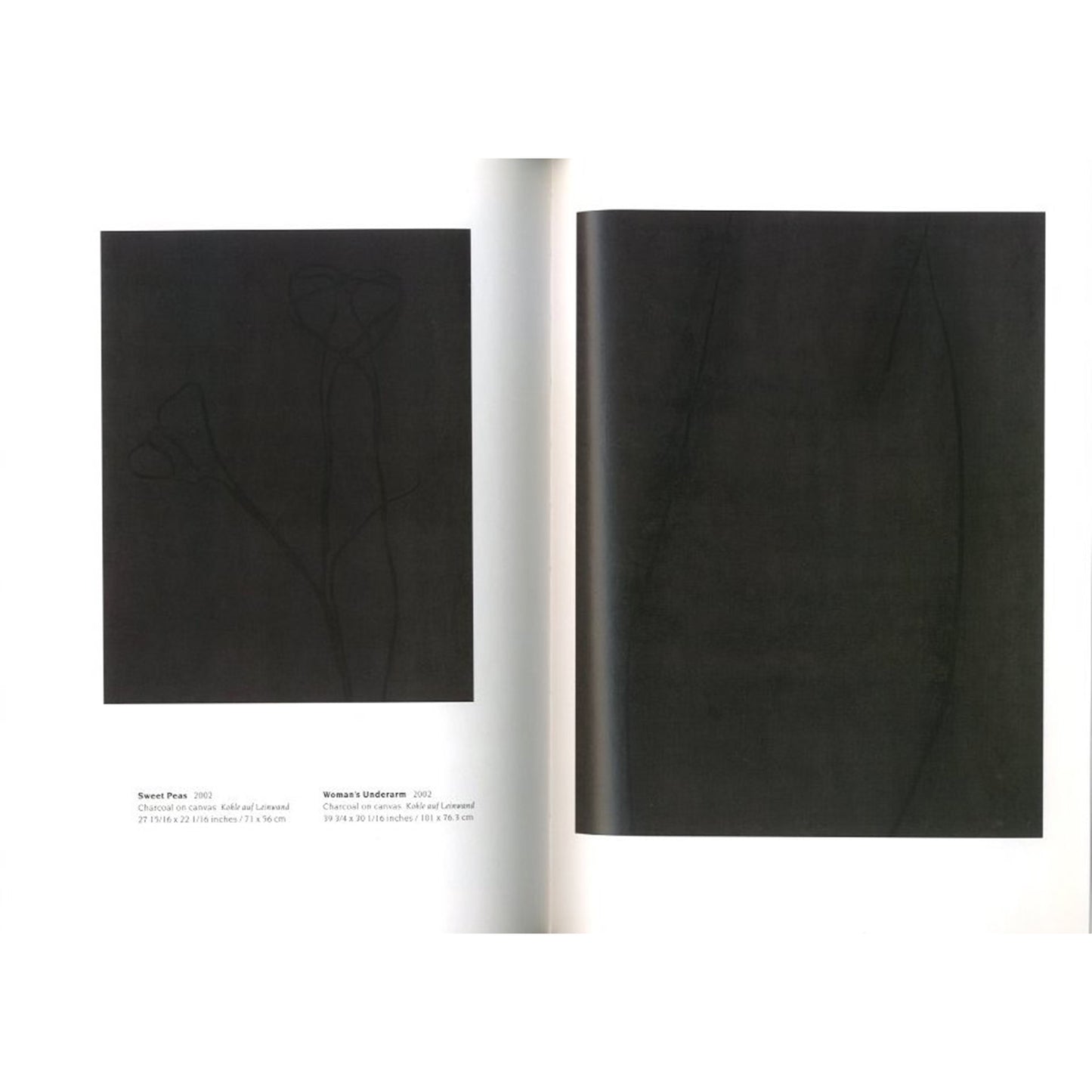 The Bird Has A Yellow Beak