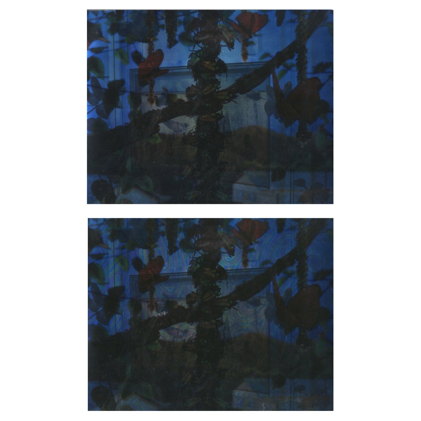 COMME des GARÇONS Season's Greeting
