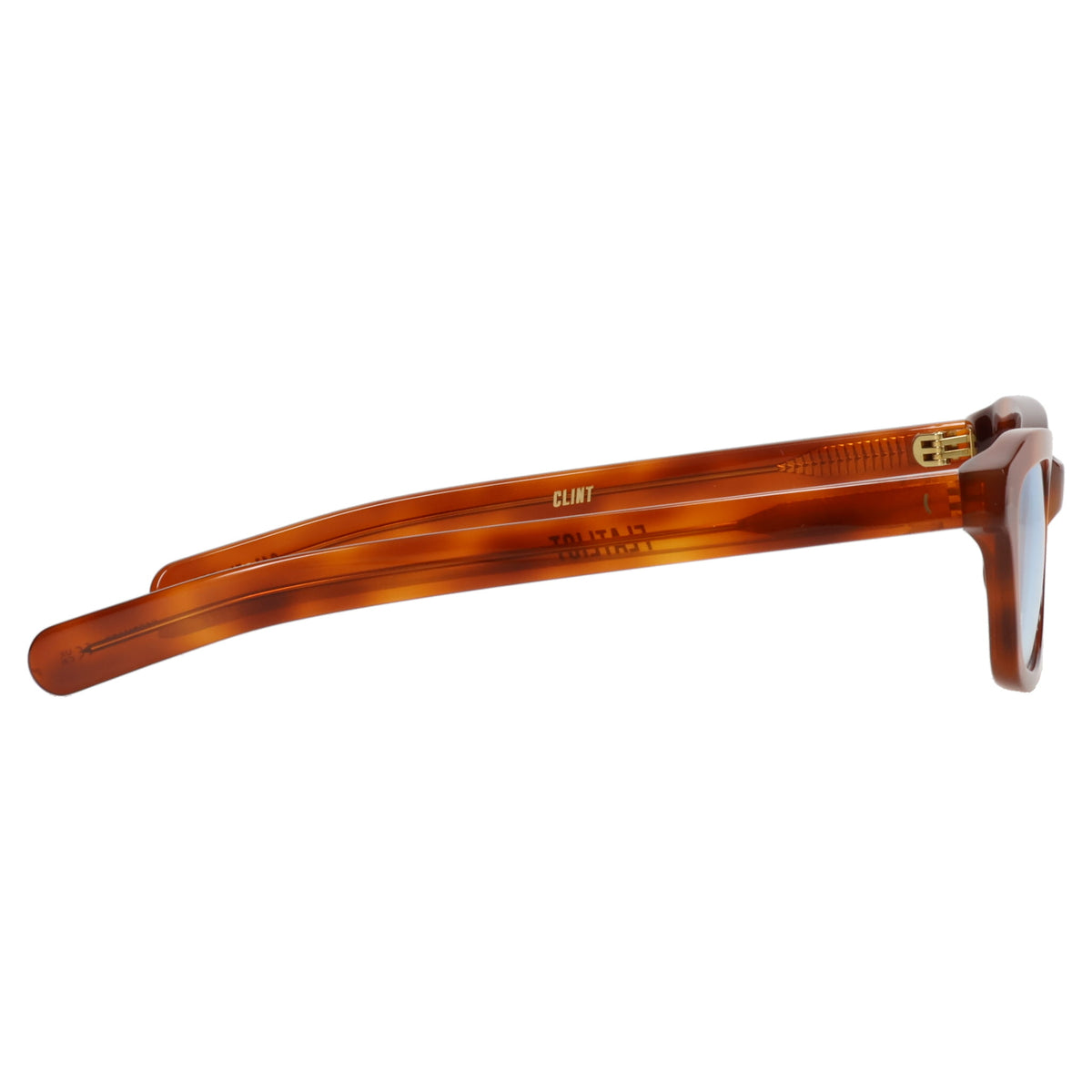 CLINT / CLASSIC HAVANA/LIGHT BLUE GRADIENT LENS