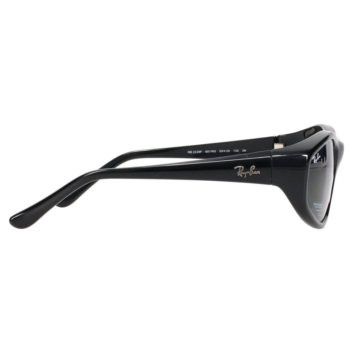 SUNGLASS / 601/R5