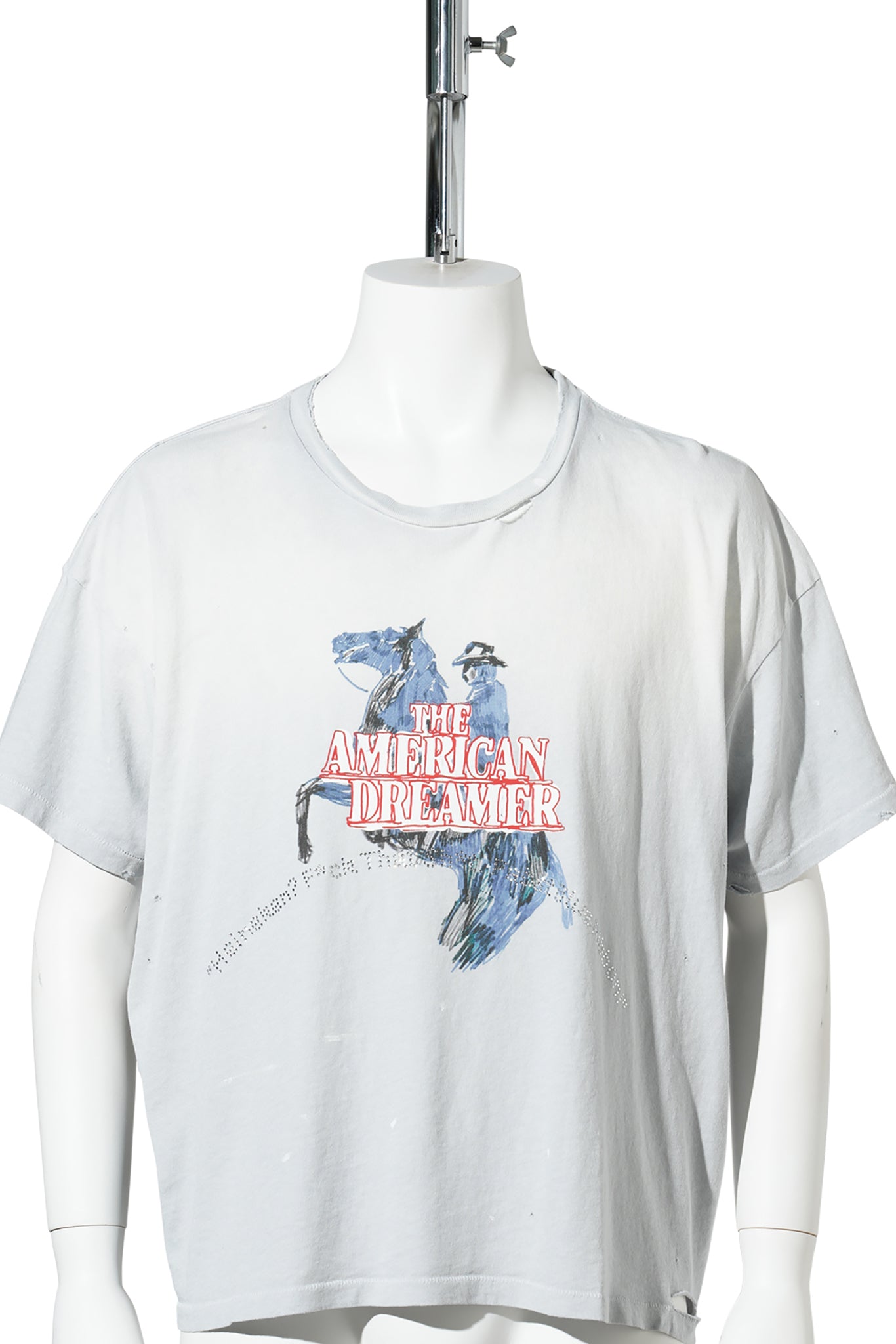 AMERICAN DREAMER TEE / LT BLUE