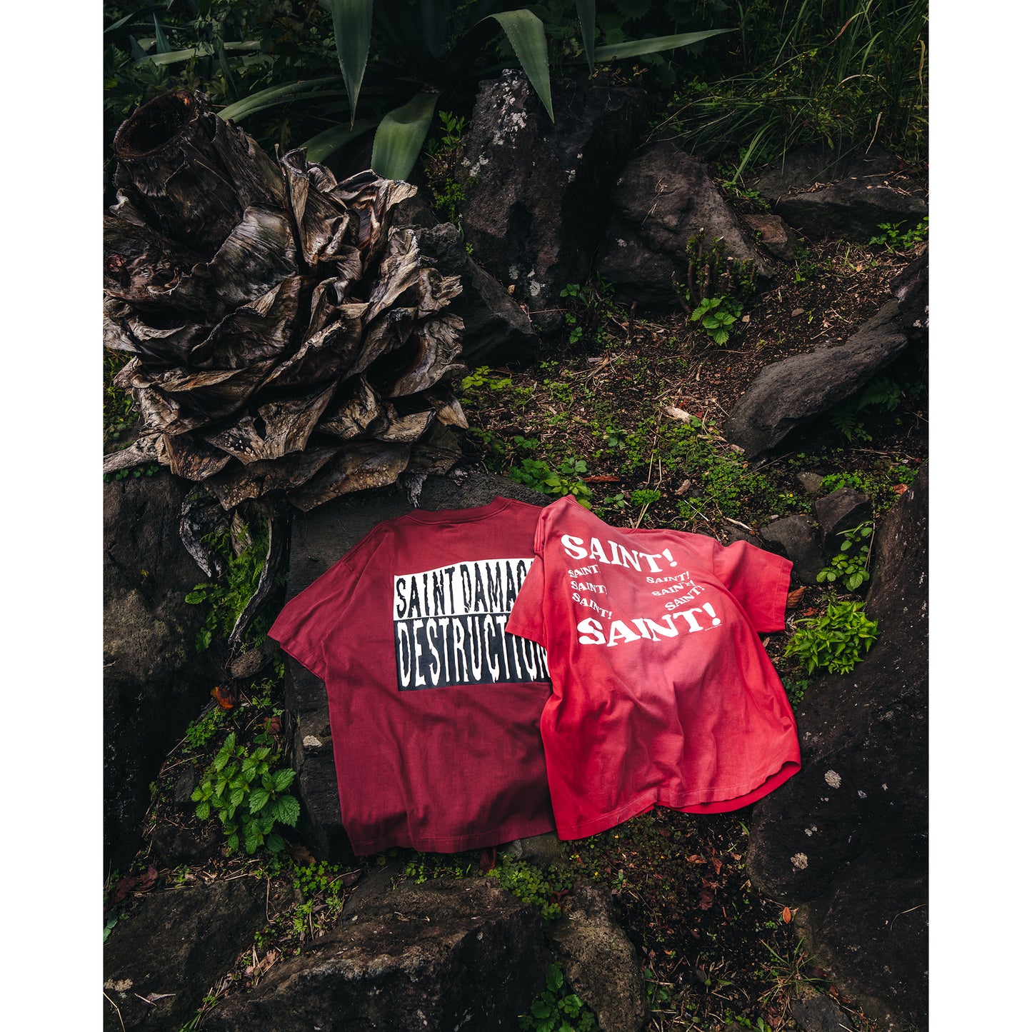 SS TEE/? / BURGUNDY