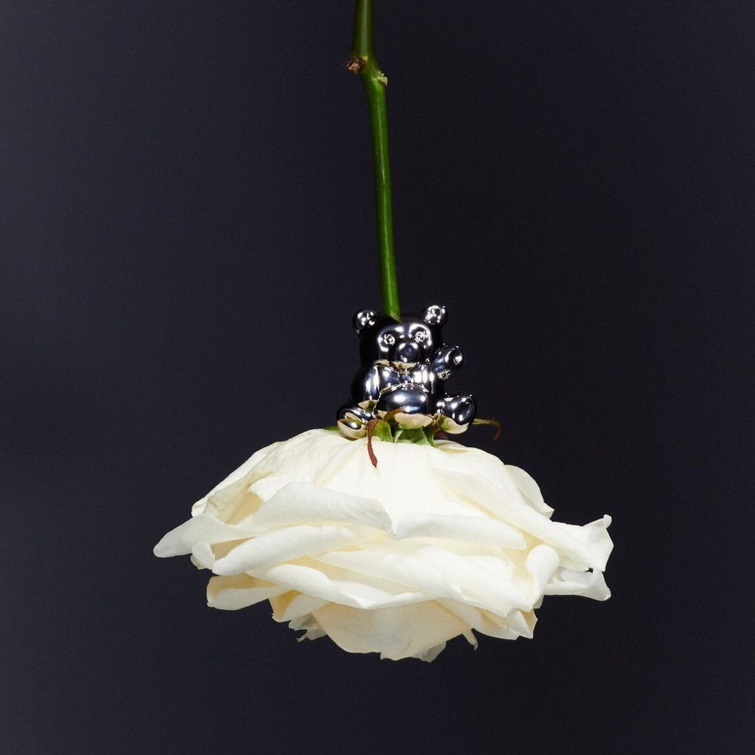 D’HEYGERE - NEW ARRIVAL