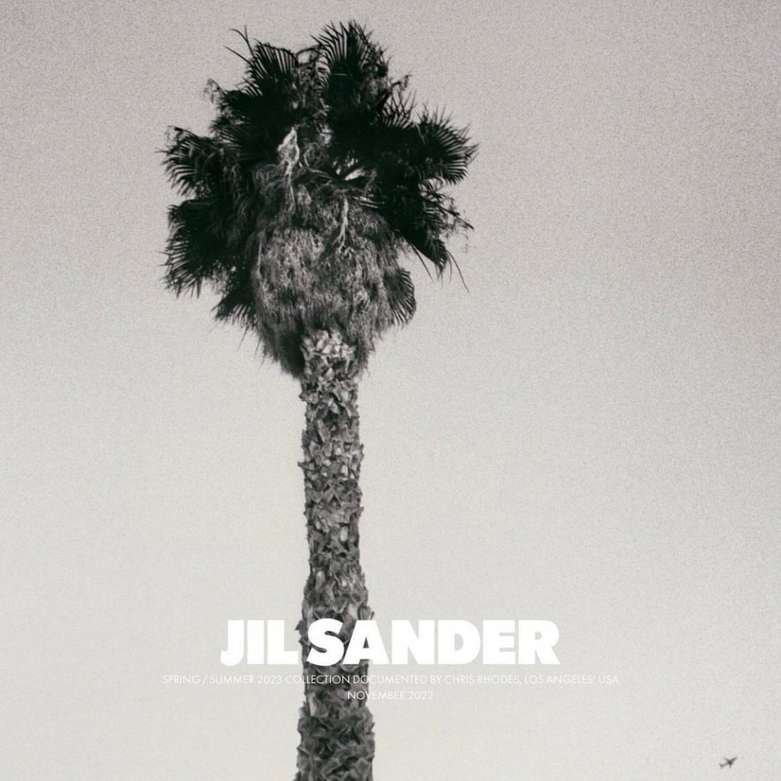 JIL SANDER - NEW DELIVERY