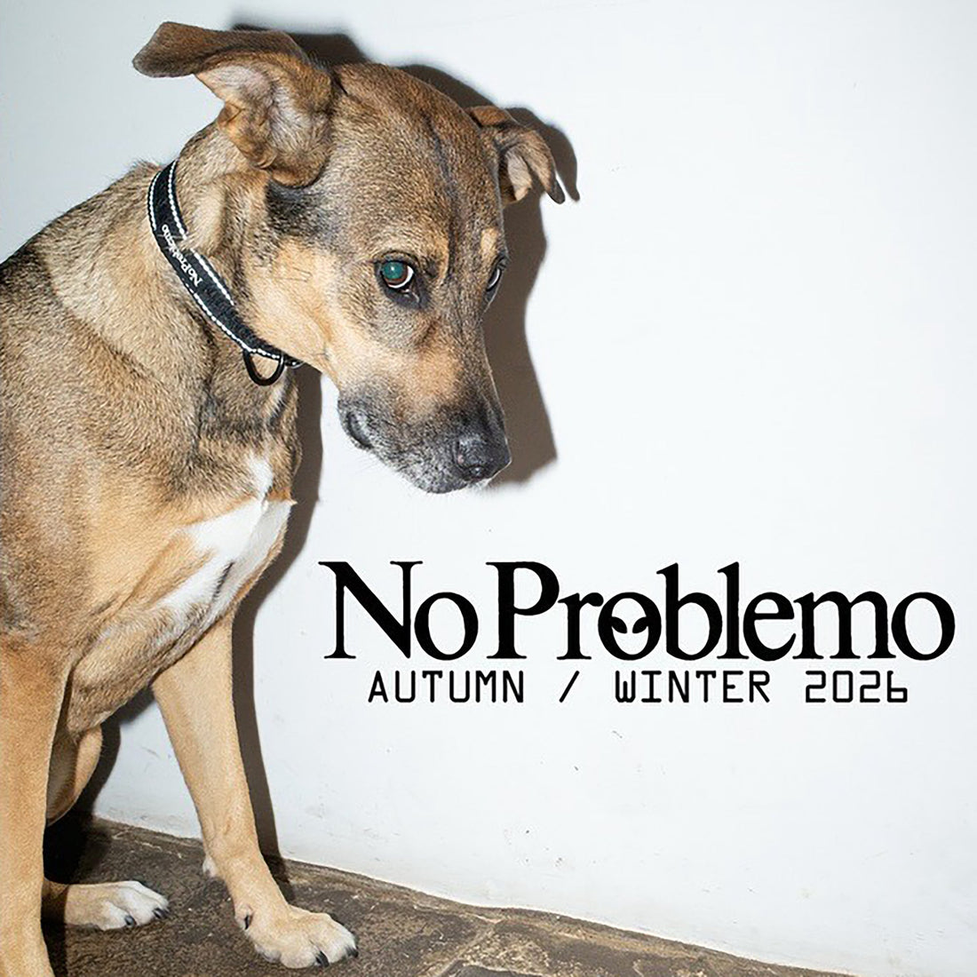 No Problemo - NEW DELIVERY