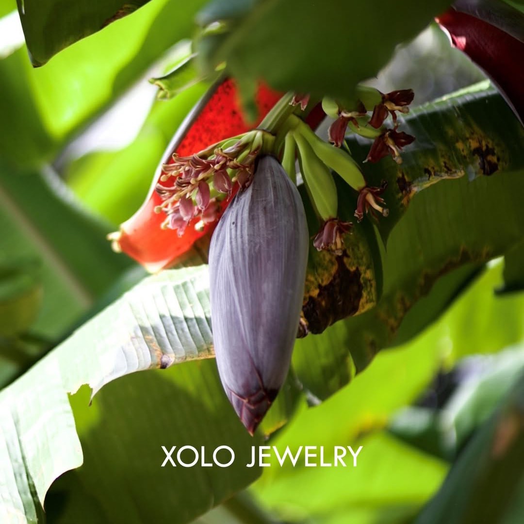 XOLO JEWELRY - NEW DELIVERY