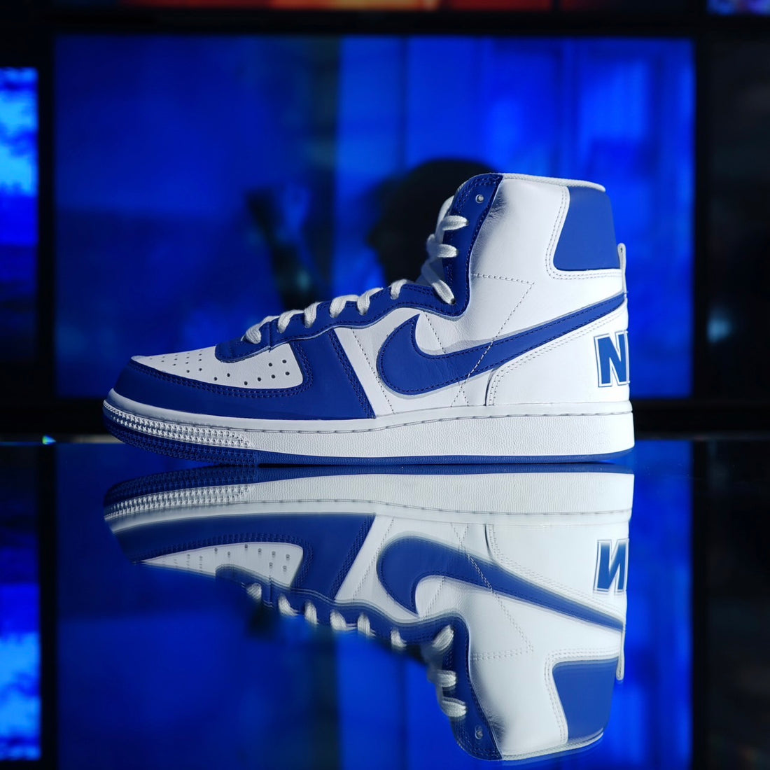 NIKE TERMINATOR HIGH - NEW DELIVERY