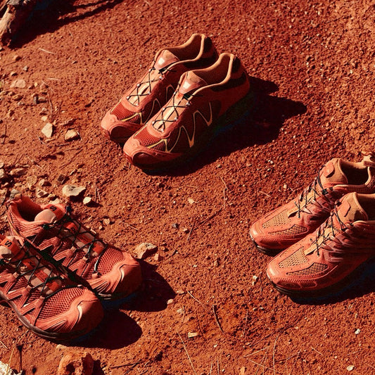 SALOMON - NEW DELIVERY