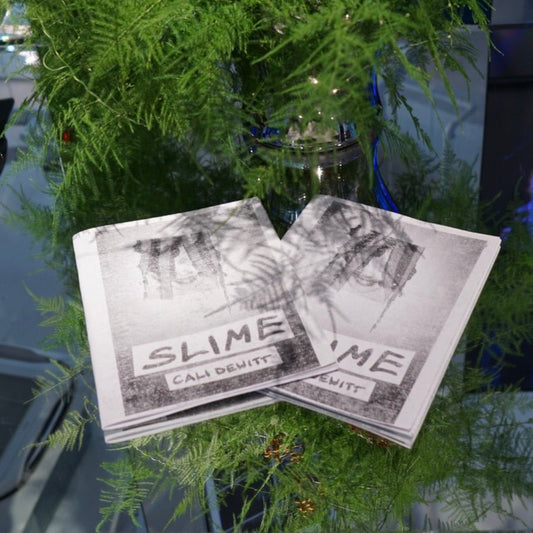 CALI DEWITT / BOOK - NEW ARRIVAL