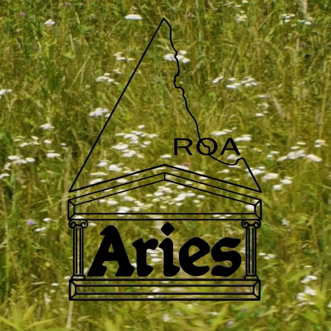 ROA X Aries - NEW ARRIVAL