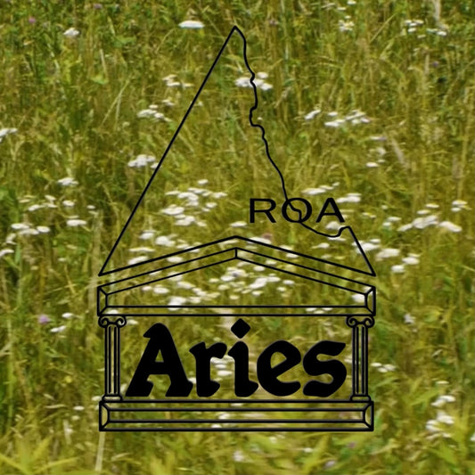 ROA X Aries - NEW ARRIVAL