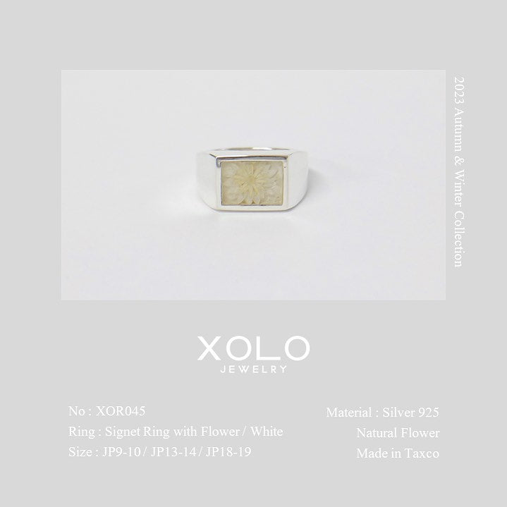 XOLO JEWELRY - NEW DELIVERY