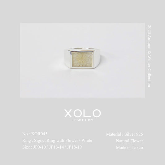 XOLO JEWELRY - NEW DELIVERY