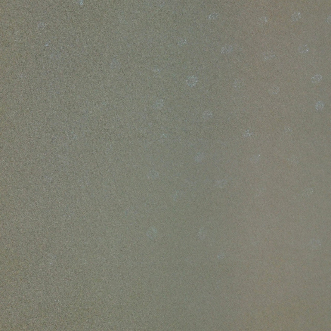 HELMUT LANG - NEW DELIVERY