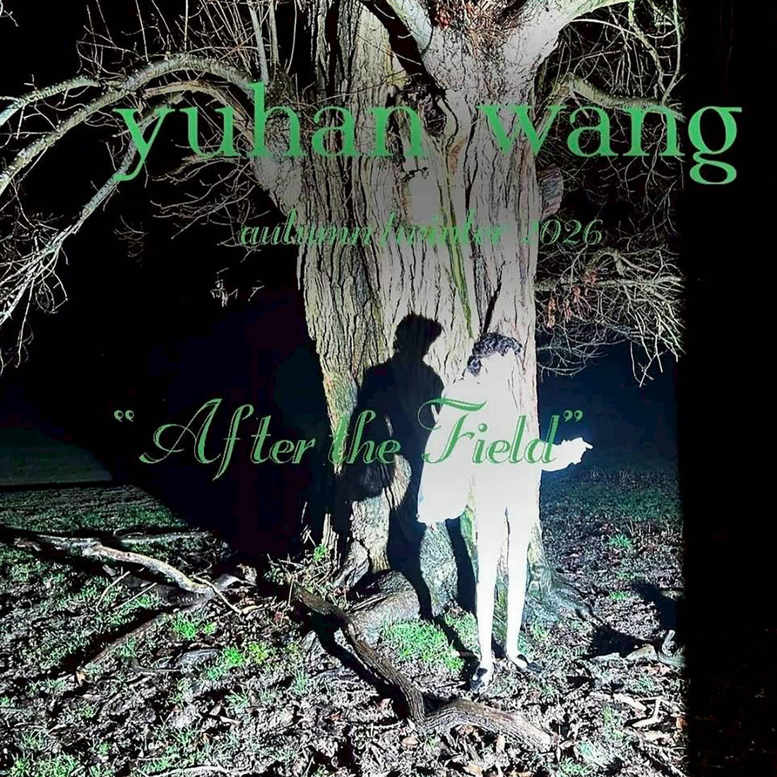 yuhan wang - NEW ARRIVAL