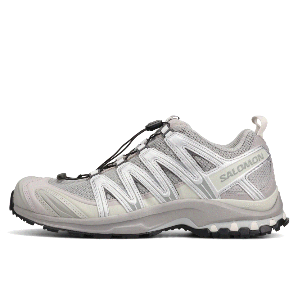 SALOMON - NEW DELIVERY