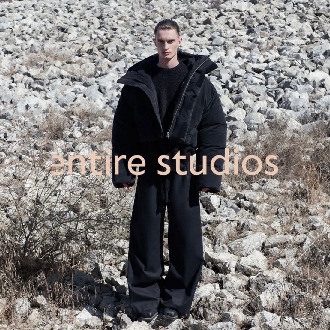 entire studios - NEW DELIVERY