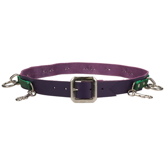 (Acc. 5BN - Col. 4) PURPLE/GREEN NARROW BONDAGE BELT