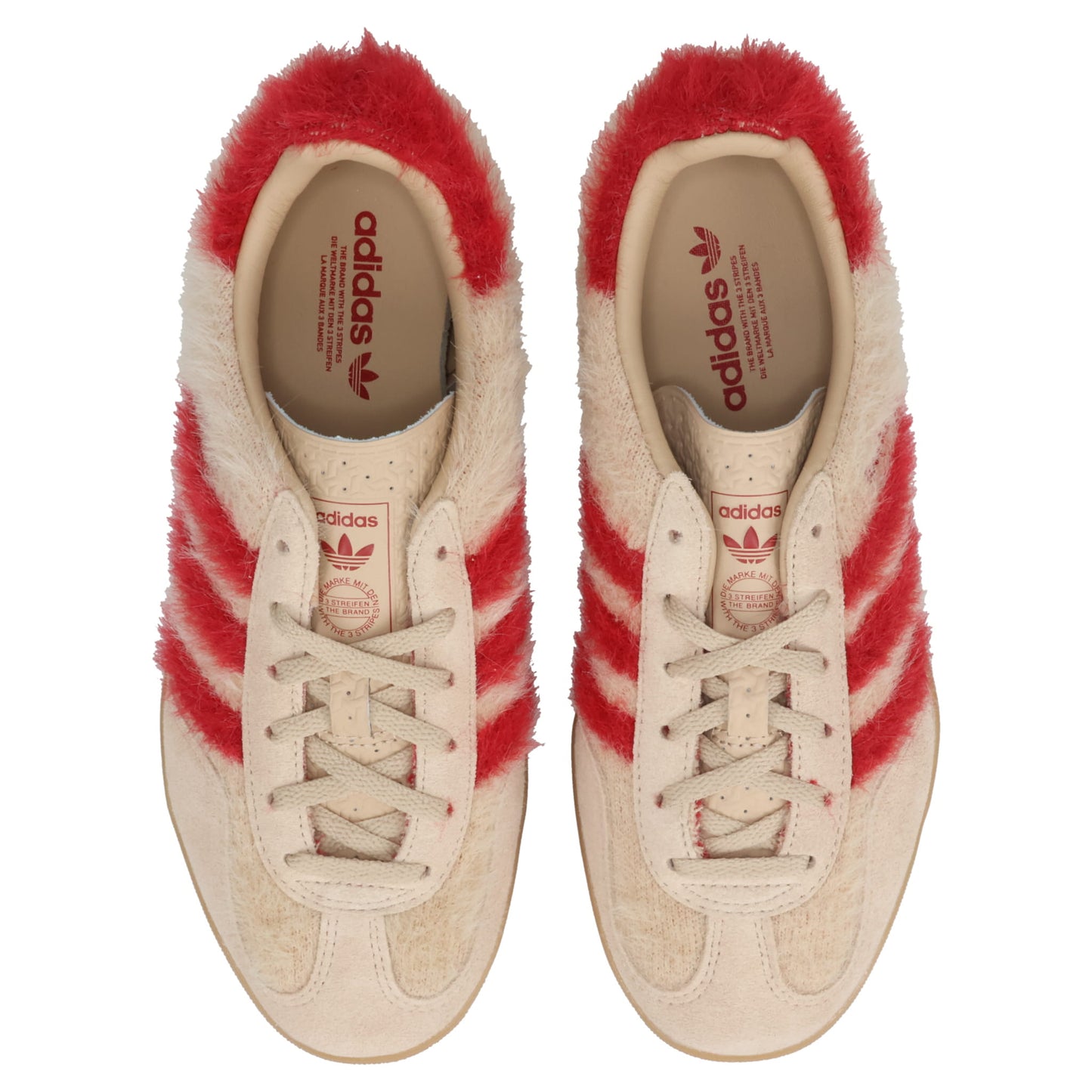 GAZELLE INDOOR W / MAGBEI/TMVIRE/GUM3