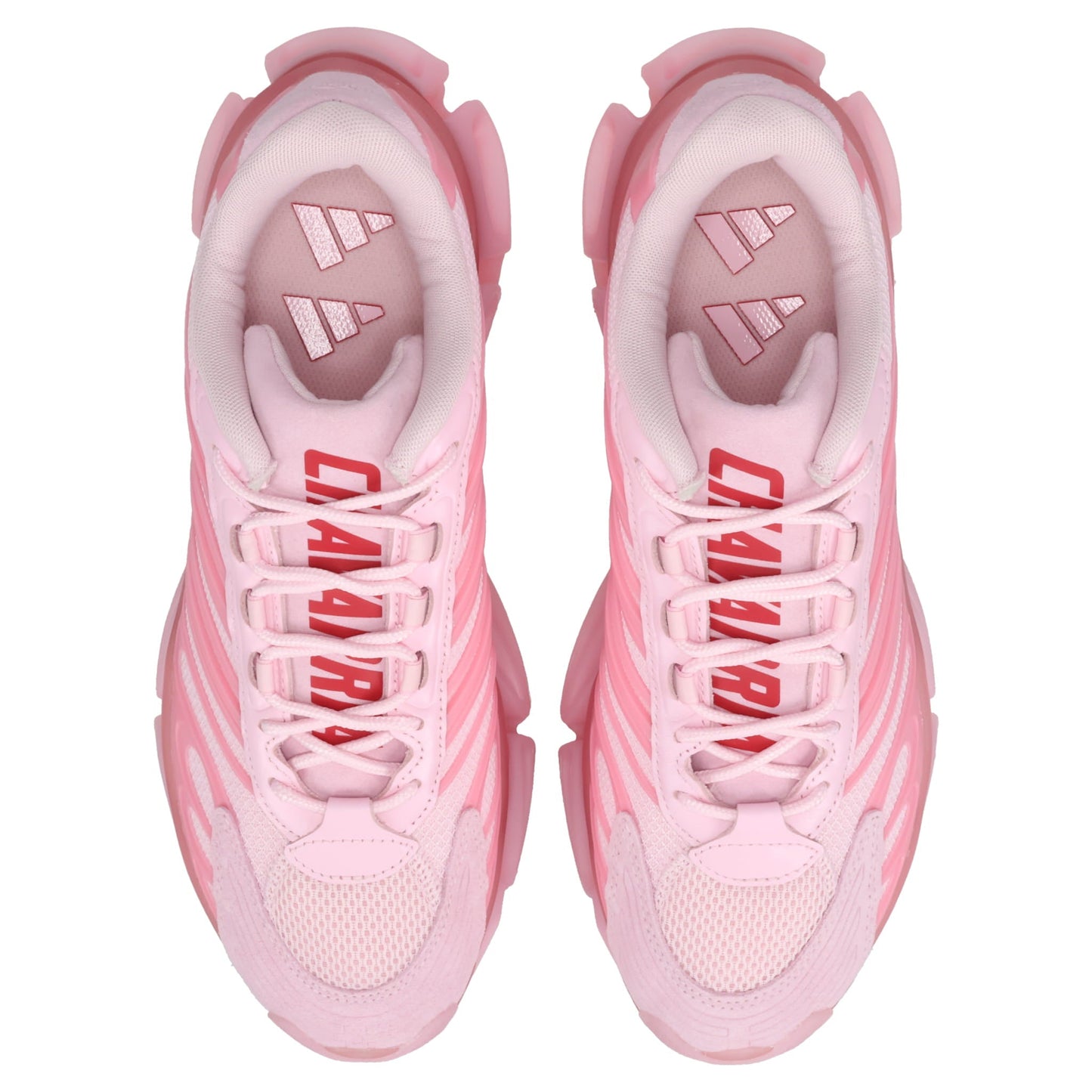CHAVARRIA MEGARIDE AG / CLPINK/CLPINK/POWRED
