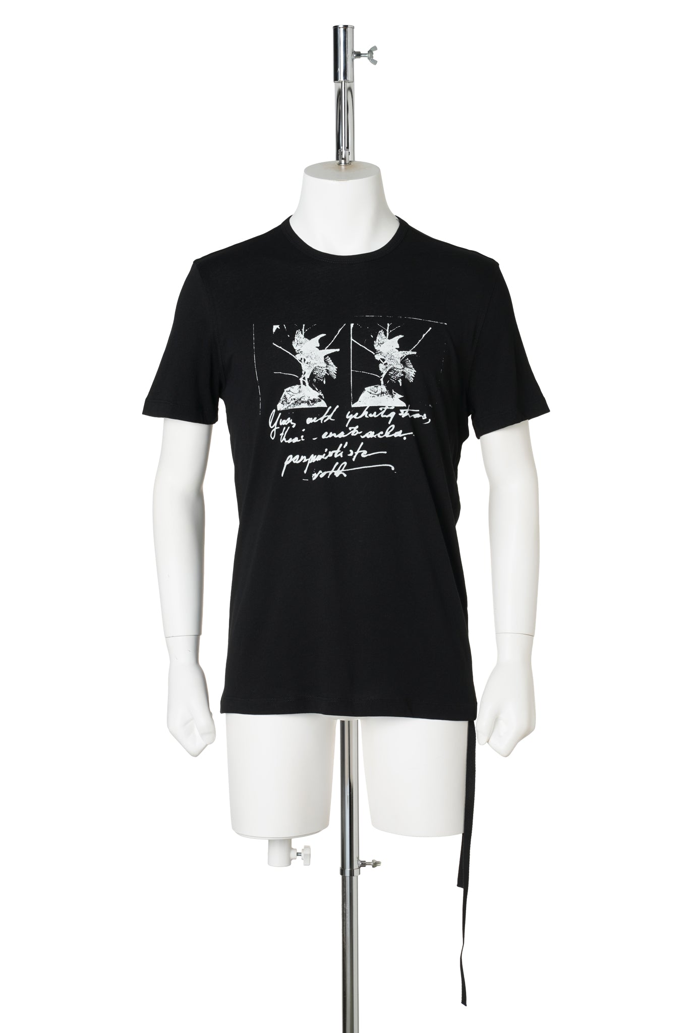 BAPTIST STANDARD FIT T-SHIRT WITH "BIRDS POSTCARD" PRINT / 099:BLACK