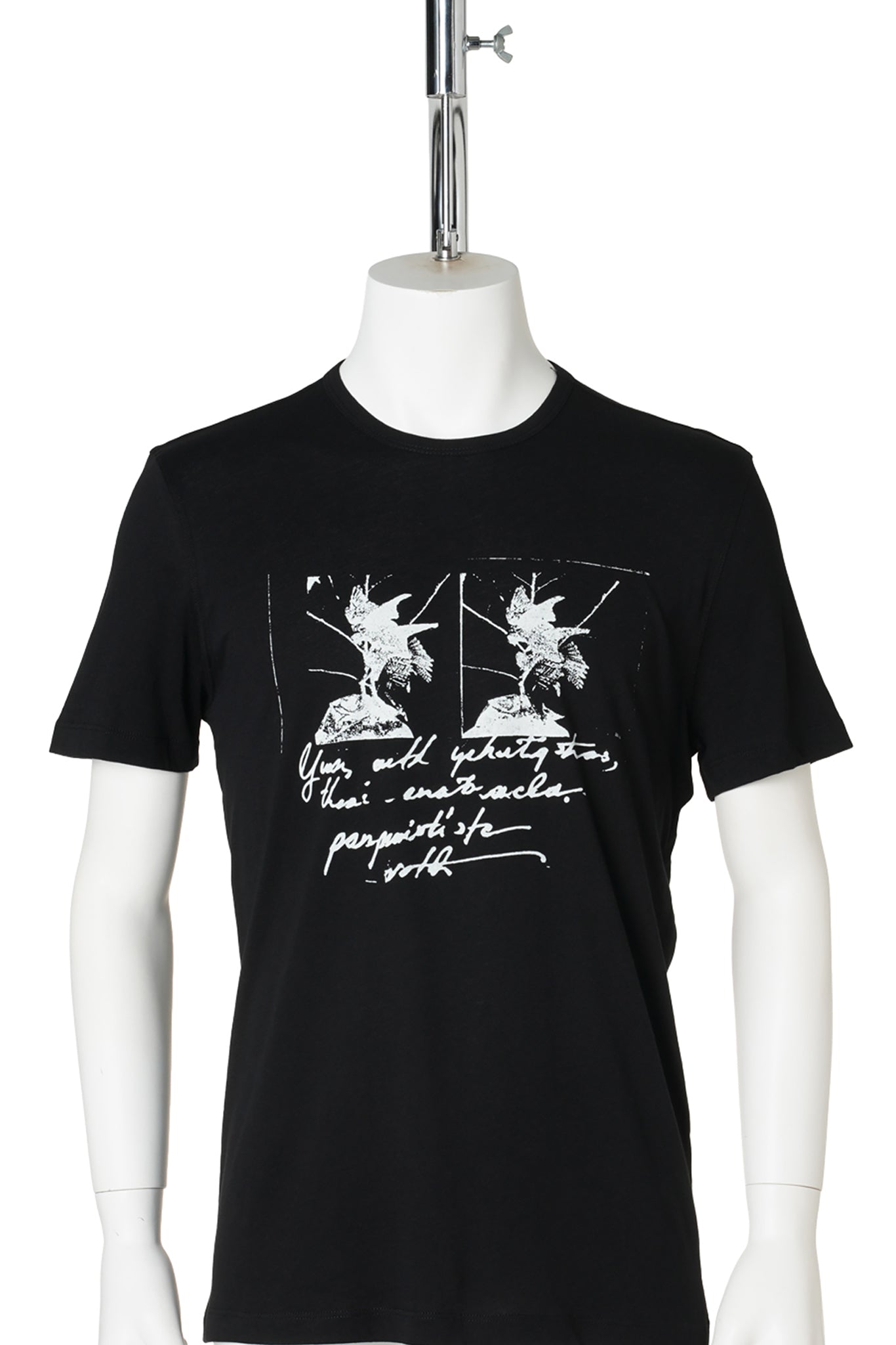 BAPTIST STANDARD FIT T-SHIRT WITH "BIRDS POSTCARD" PRINT / 099:BLACK