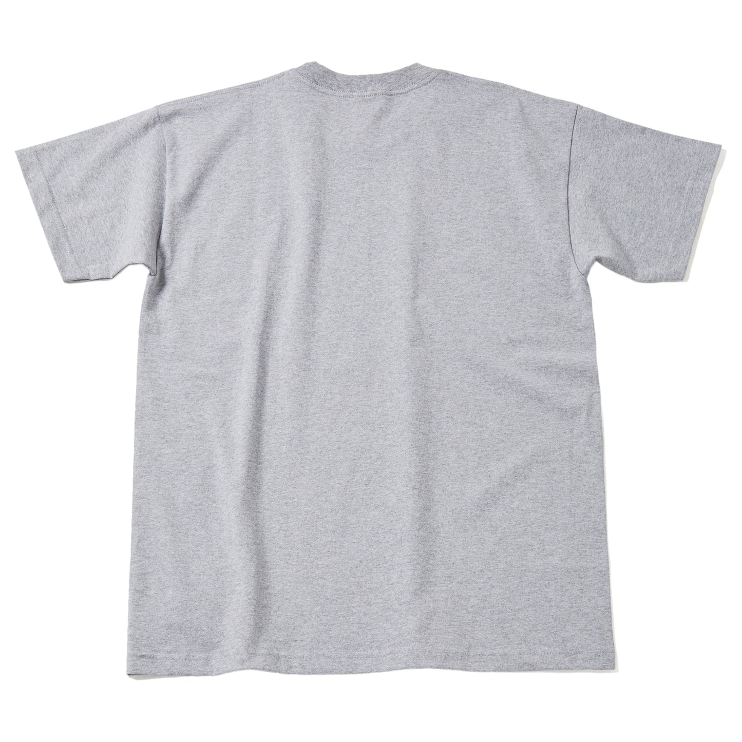 BAY SIDE HEAVY WEIGHT TEE 1 / DARK ASH