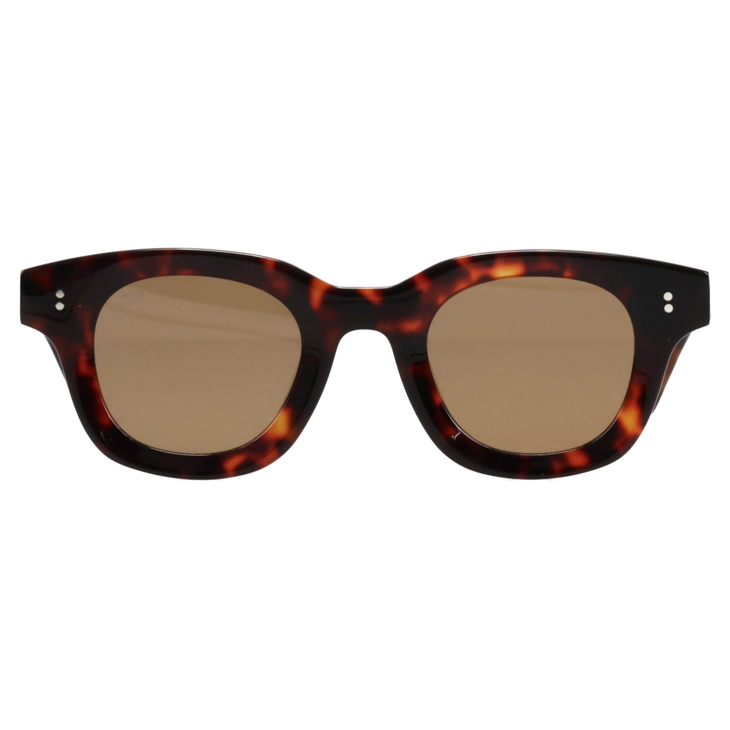 APOLLO / TORTOISE/BROWN