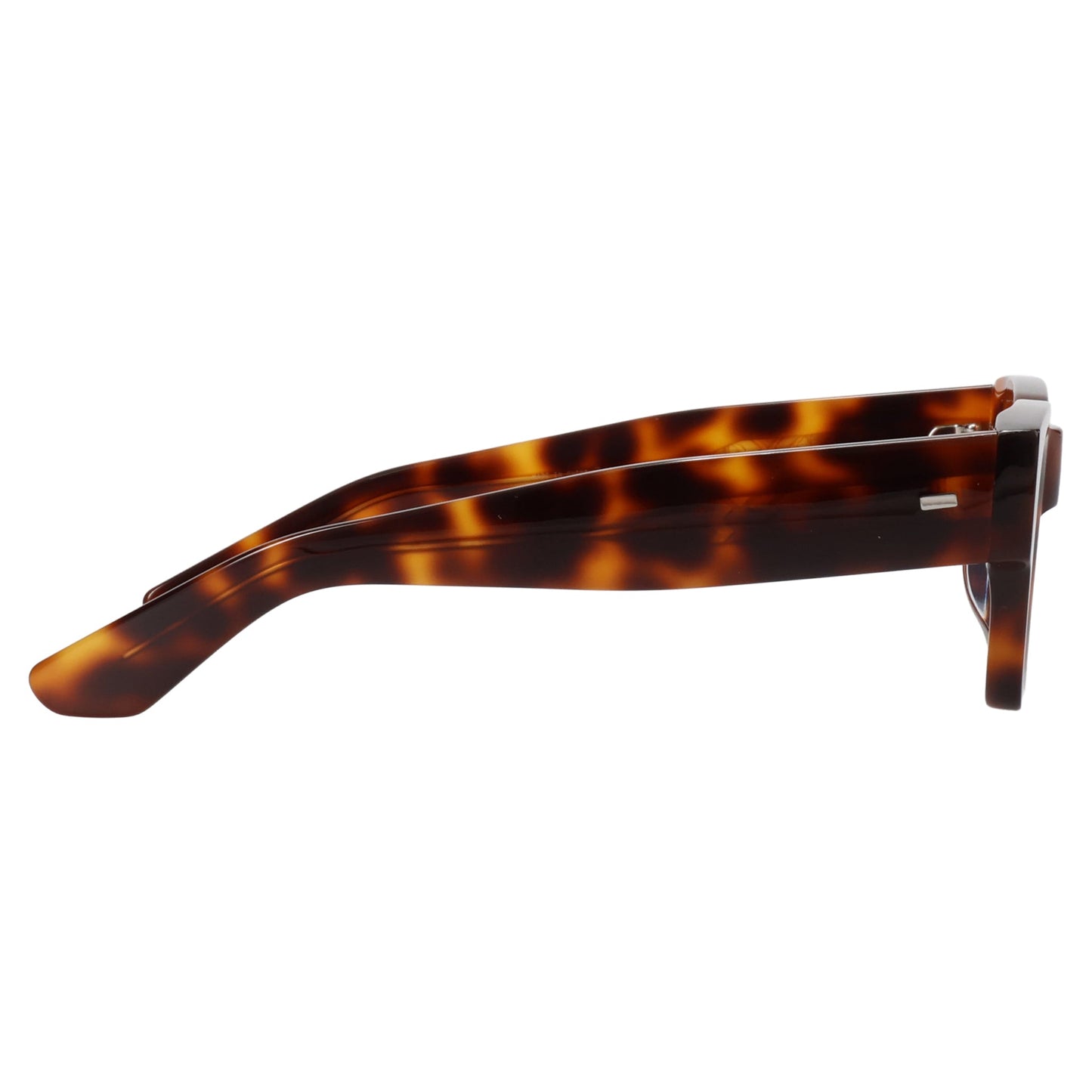 ARES / TORTOISE/SKY BLUE