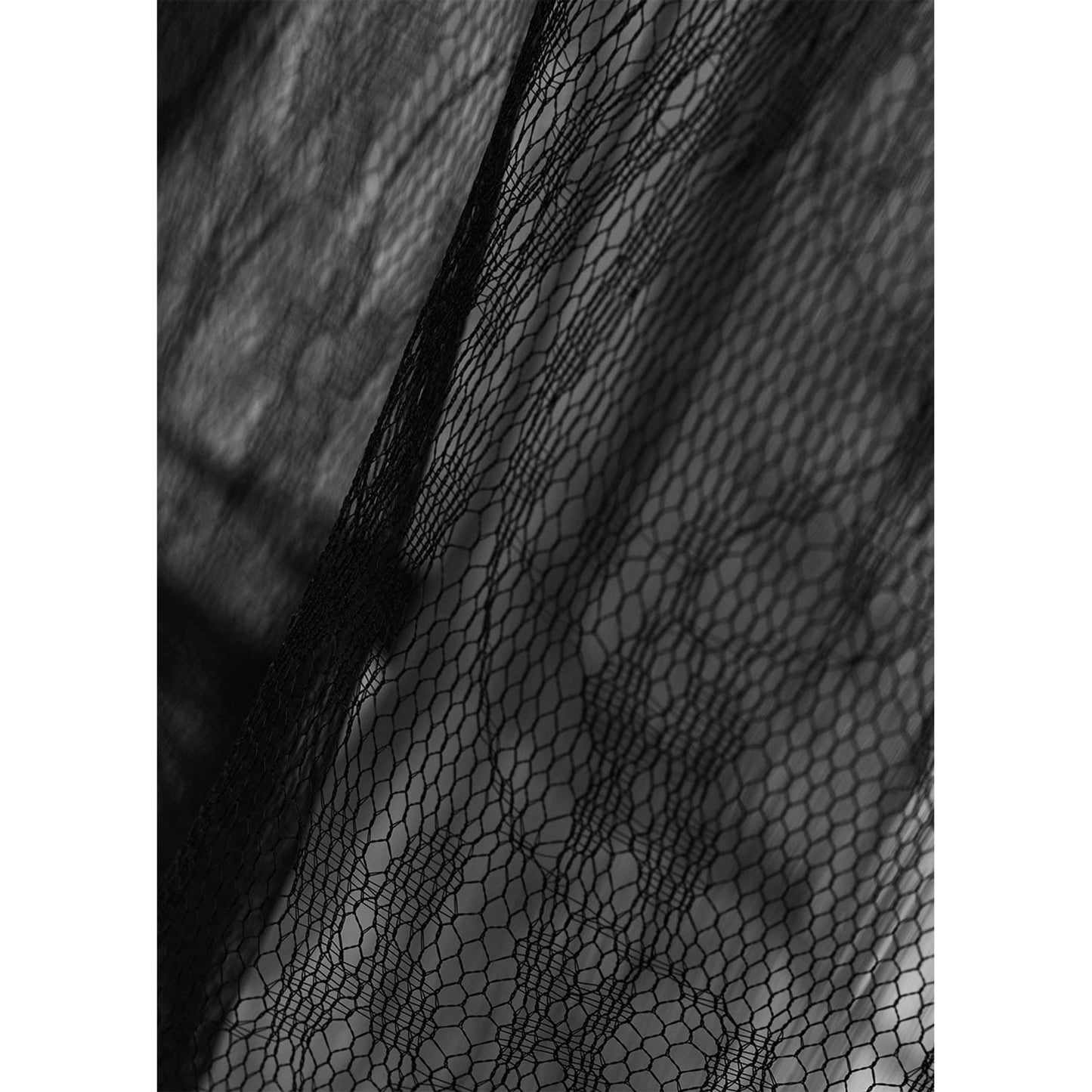 SHEER LACE MOCK NECK TOP / BLACK