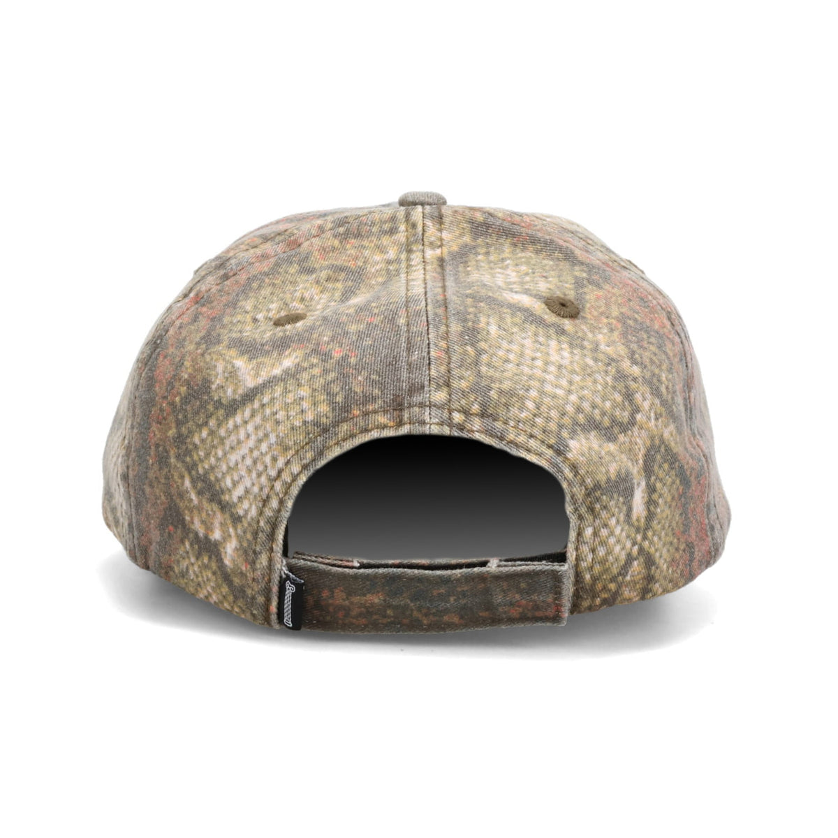 SNAKE PRINT J'ADORO CAP / MULTI