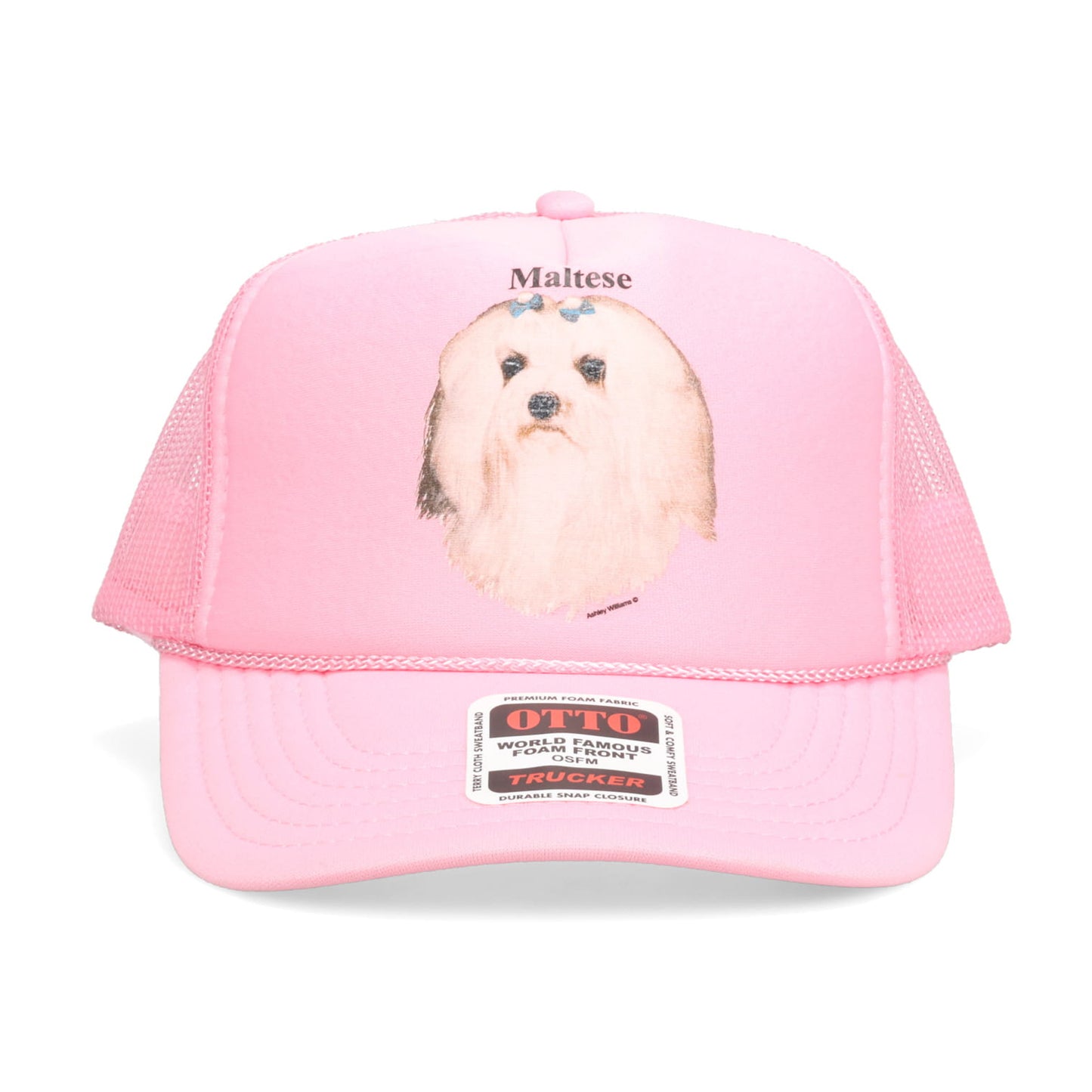 PINK CAP / MALTESE