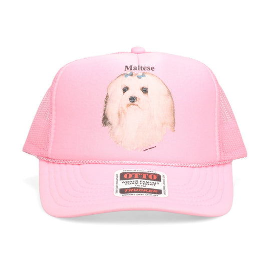 PINK CAP / MALTESE