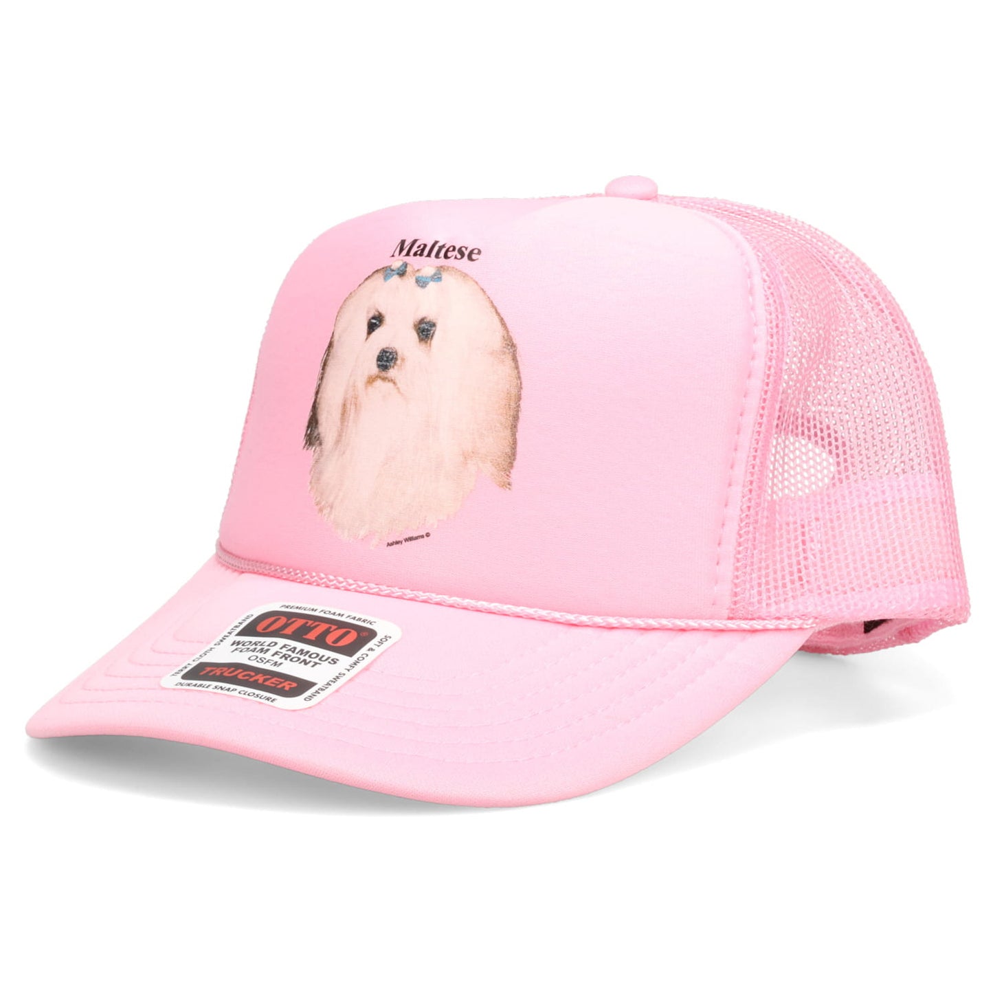 PINK CAP / MALTESE