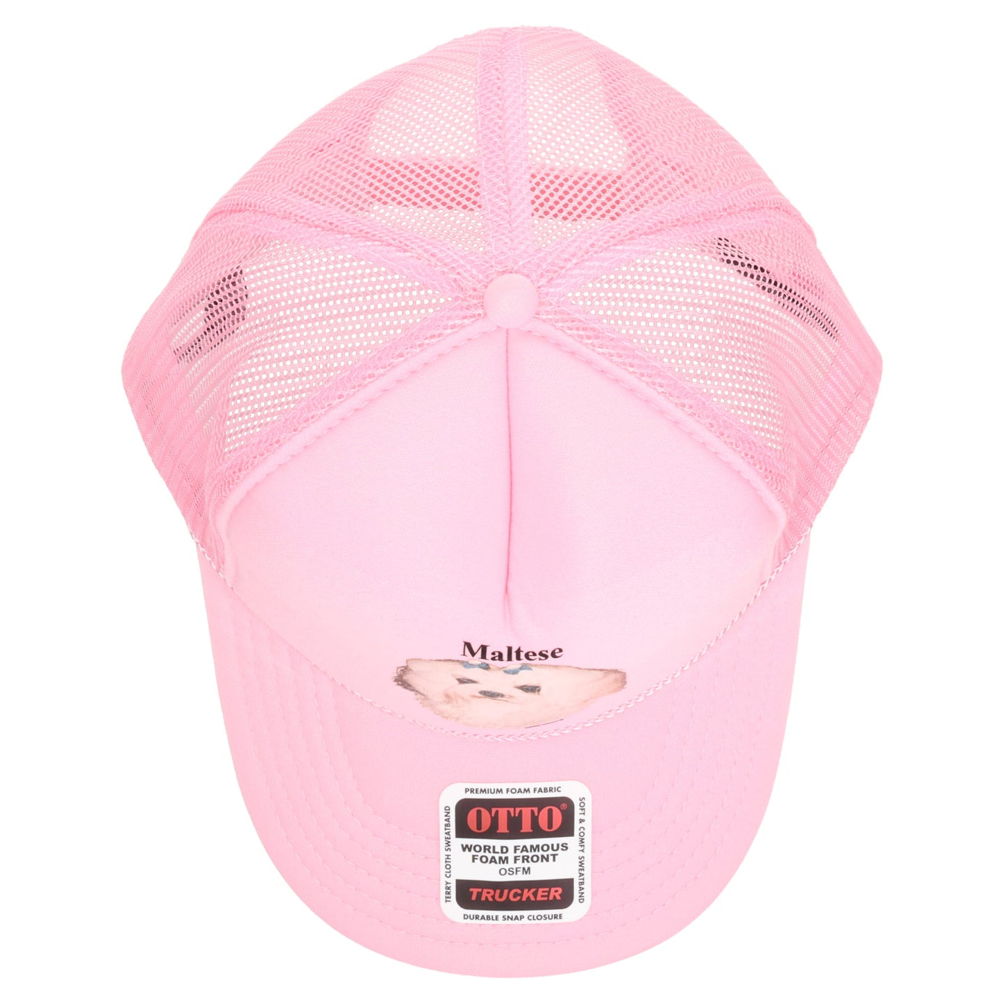PINK CAP / MALTESE