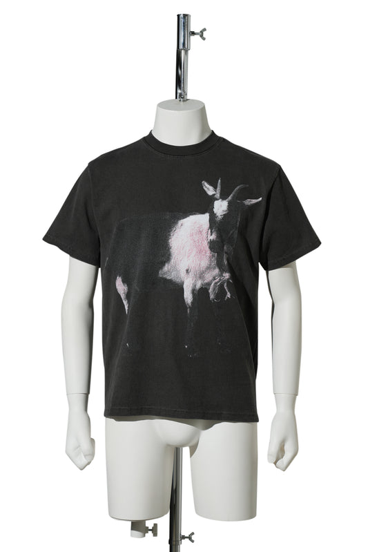 BILLY , T-SHIRT / VINTAGE BLACK