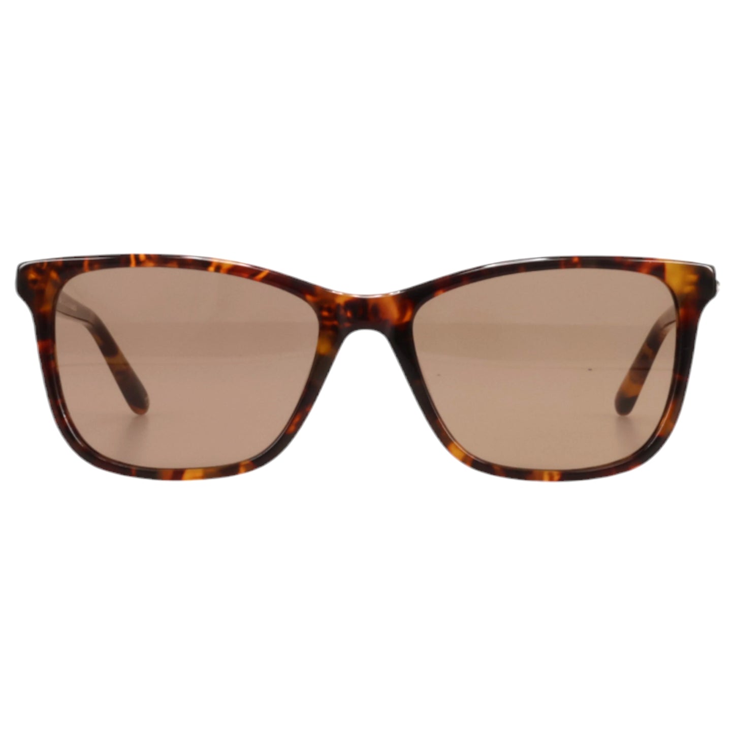 BICEP / TORTOISE & BROWN LENS