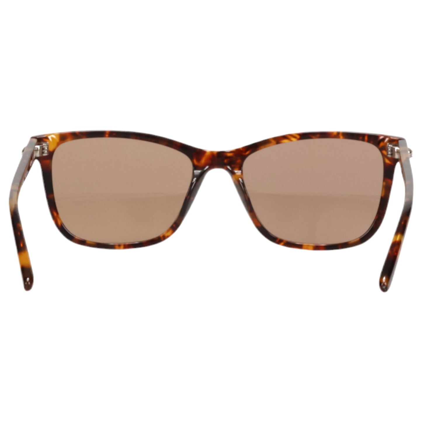 BICEP / TORTOISE & BROWN LENS