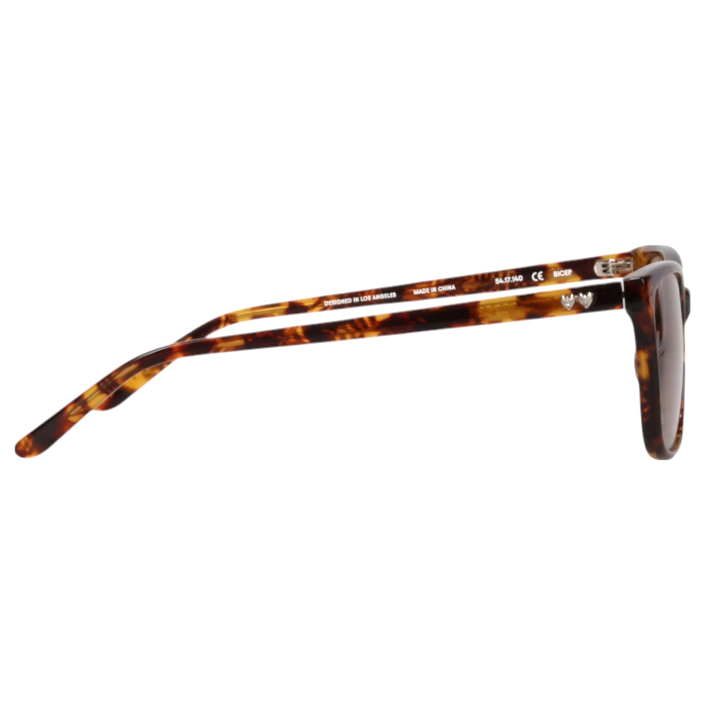 BICEP / TORTOISE & BROWN LENS