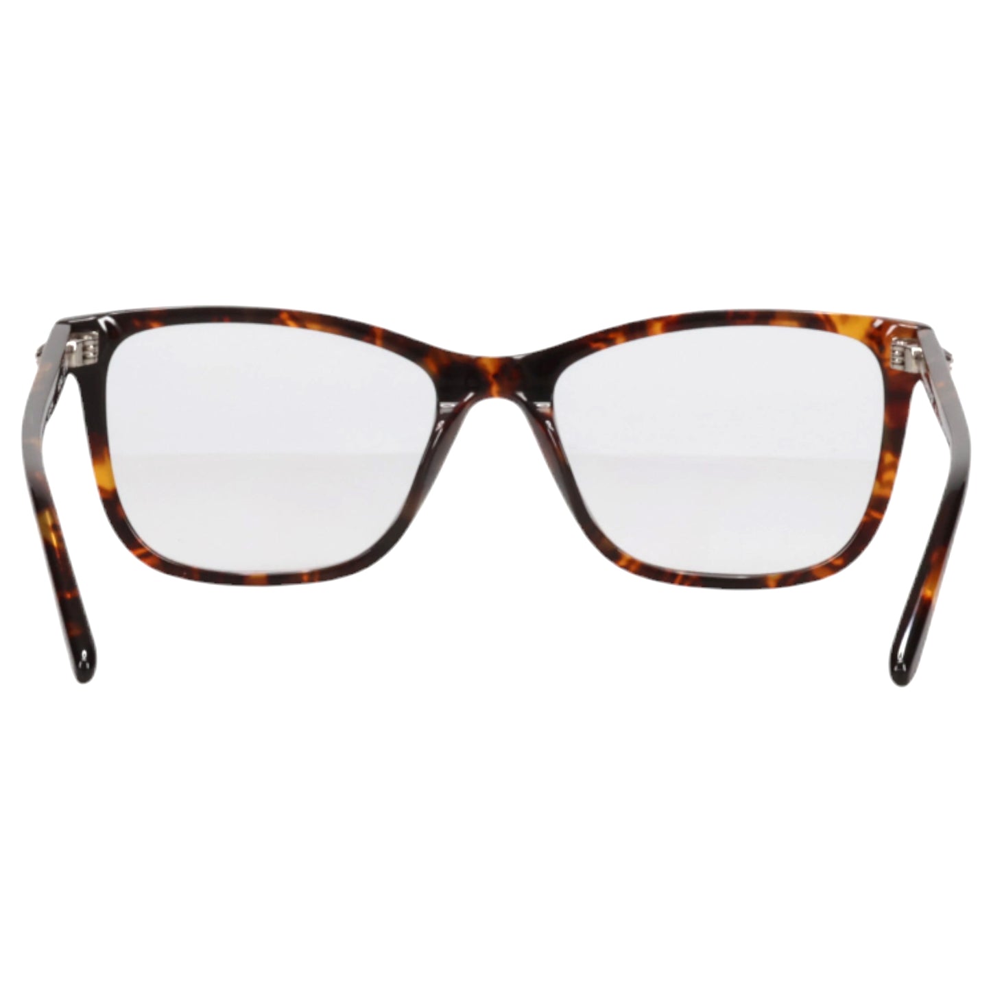 BICEP / TORTOISE & CLEAR LENS