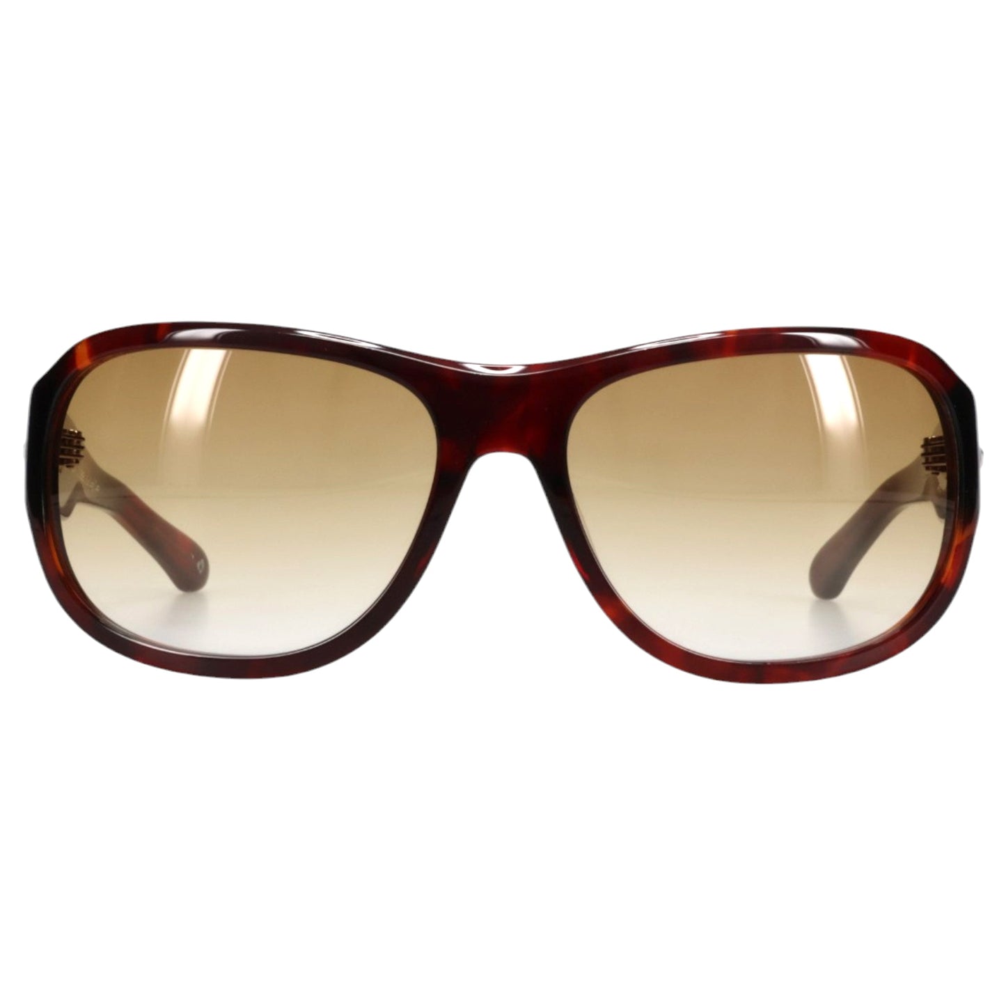 DOG / RED TORTOISE & BROWN GRADIENT