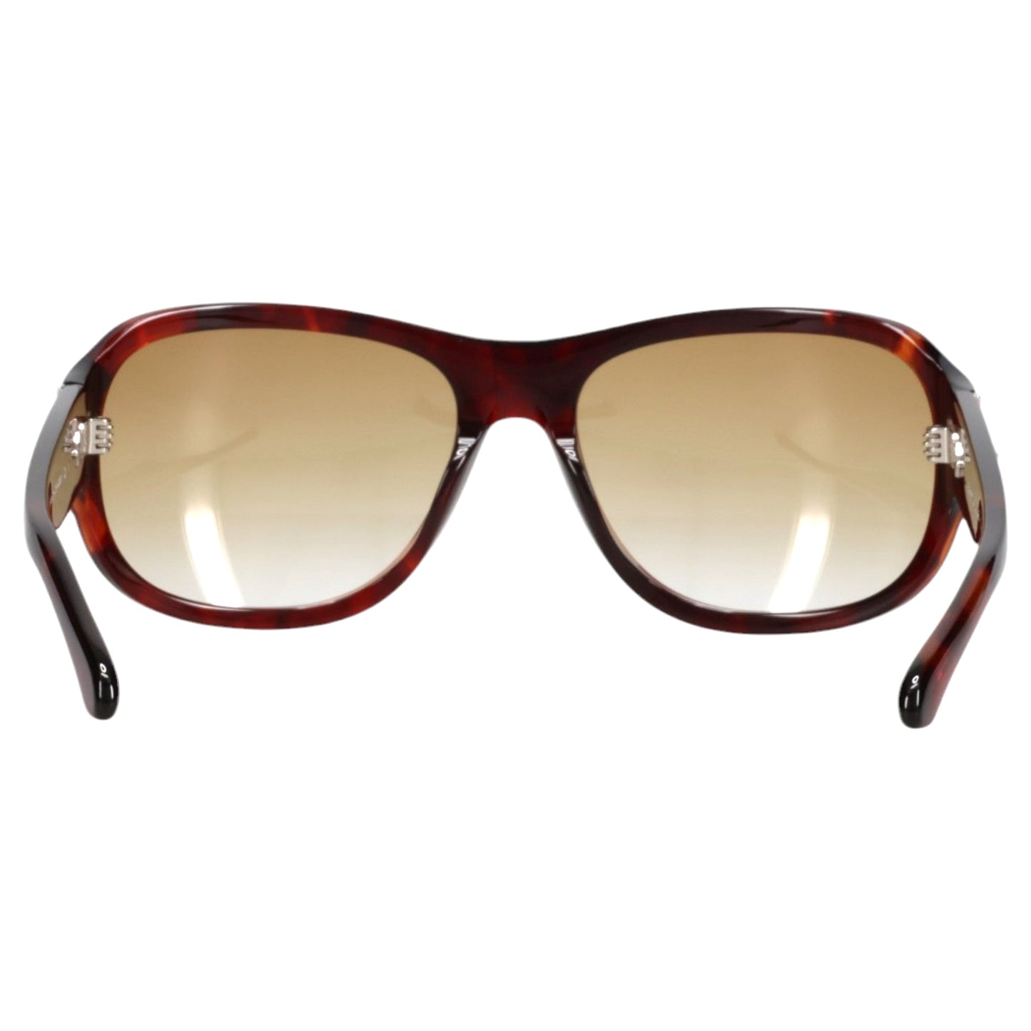 DOG / RED TORTOISE & BROWN GRADIENT