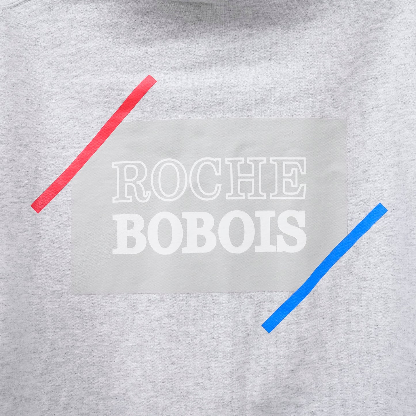 ROCHE HOODY / ASH