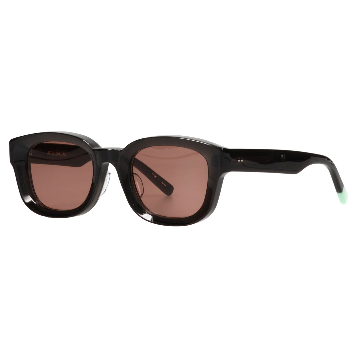 BE001_SUN / CLR BLK/ROSY BRN