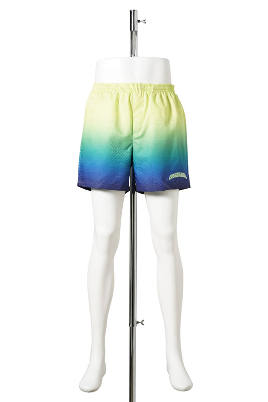 GRADIENT MONOGRAM SWIM SHORTS / CSB524:GRADIENT